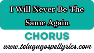 I Will Never Be The Same Again