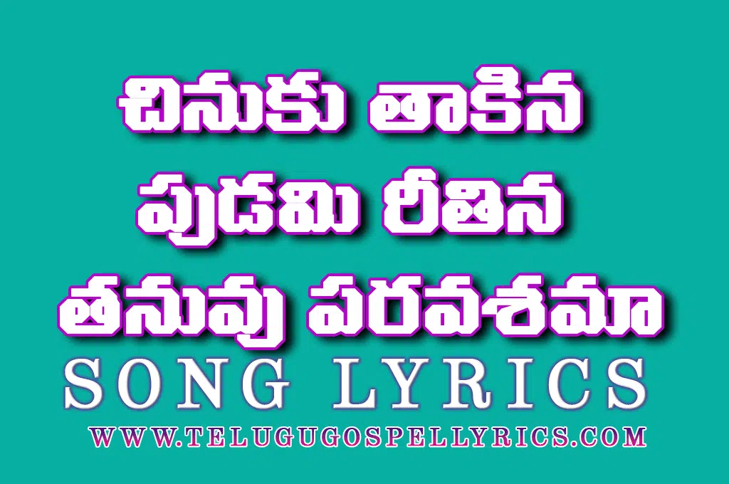 Chinuku Thaakina Pudami
