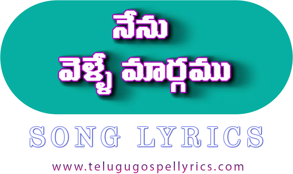 Nenu Velle Maargamu