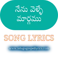 Nenu Velle Margamu