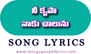 Ni Krupa Naku Chalunu