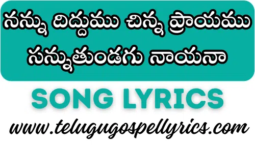 Nannu Diddumu Chinna Praayamu