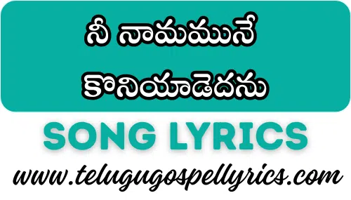 Ni Naamamu Ne Koniyaadedanu