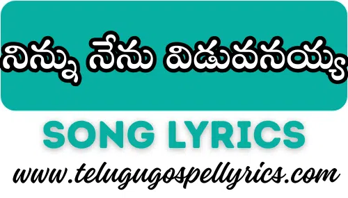 Ninnu Nenu Viduvanayya