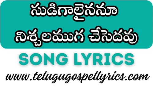 Sudigaalainanu