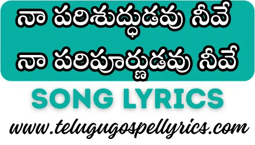 Naa Parishuddudavu Nive