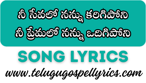 Nee Sevalo Nannu Karigiponi