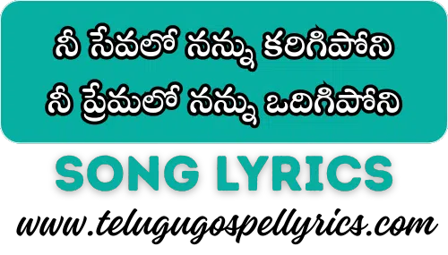 Nee Sevalo Nannu Karigiponi