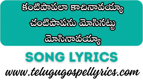 Kantipaapalaa Kaachinaavayya