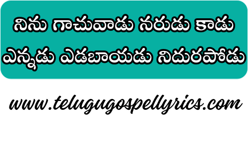 Ninu Gaachuvadu Narudu Kadu