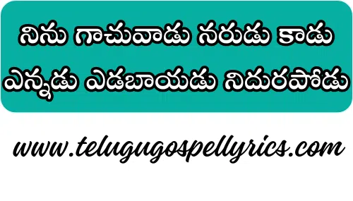 Ninu Gaachuvadu Narudu Kadu
