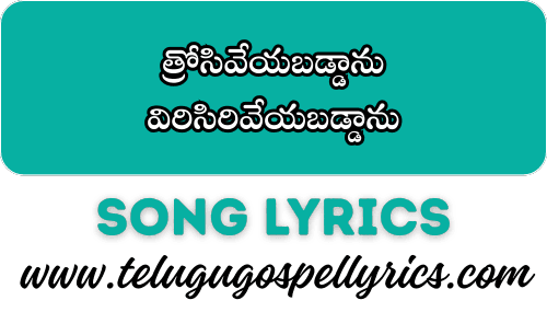 Nee chethilo oka Vaayidhyamuga