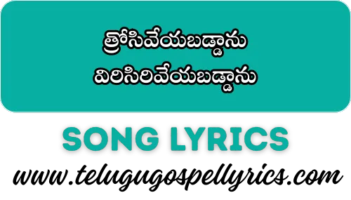 Nee chethilo oka Vaayidhyamuga