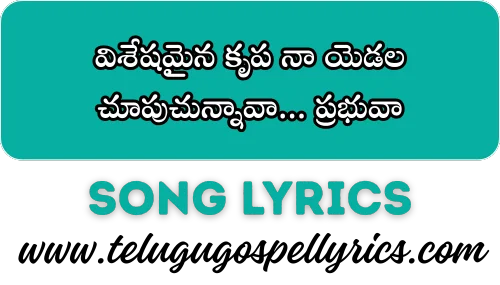 Visheshamaina Krupa Naa Yedala