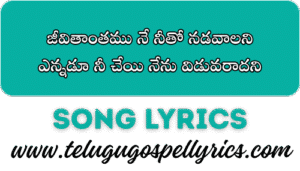 Jivithamthamu Ne Nitho Nadavalani
