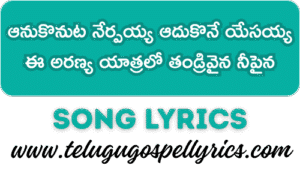 Anukonuta Nerpayya