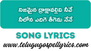 Nijamaina Draakshaavallivi Neeve