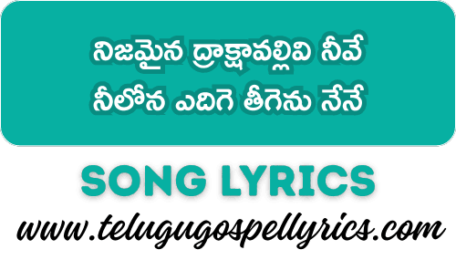 Nijamaina Draakshaavallivi Neeve