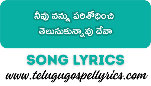 Neevu Nannu Parishodhinchi