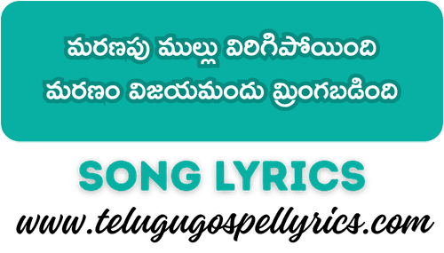 Maranapu Mullu Virigipoyindi Song Lyrics