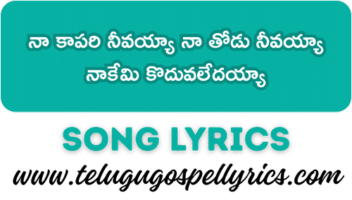 Naa Kaapari Neevayyaa Song Lyrics