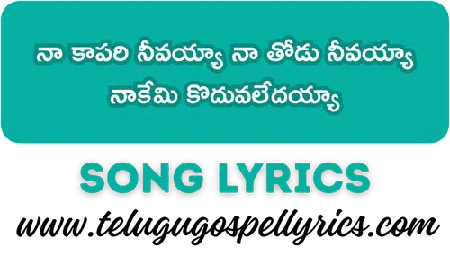 Naa Kaapari Neevayyaa Song Lyrics