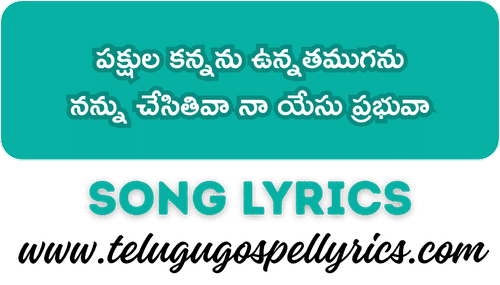 Pakshula Kannanu Unnathamuganu Song Lyrics