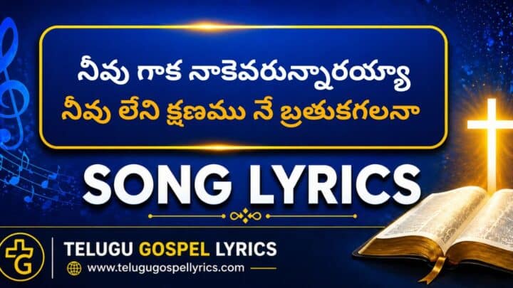 Nivu Gaaka Naakevarunnarayya Lyrics